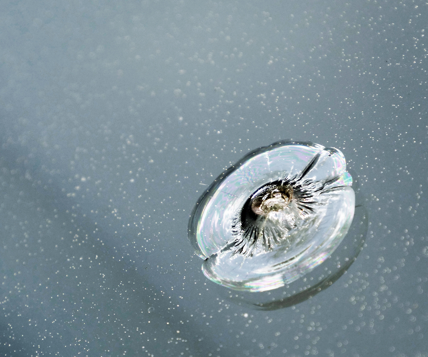 Car Windshield Rock Damage